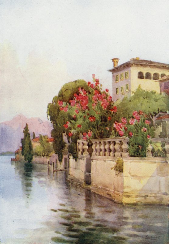 Oleanders, Lago d'Orta (farge litho) av Ella Du Cane