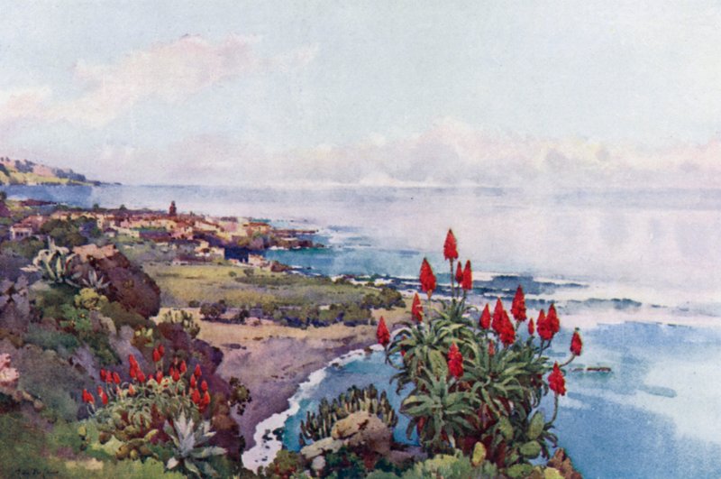 Puerto Orotava (fargemedlemmer) av Ella Du Cane