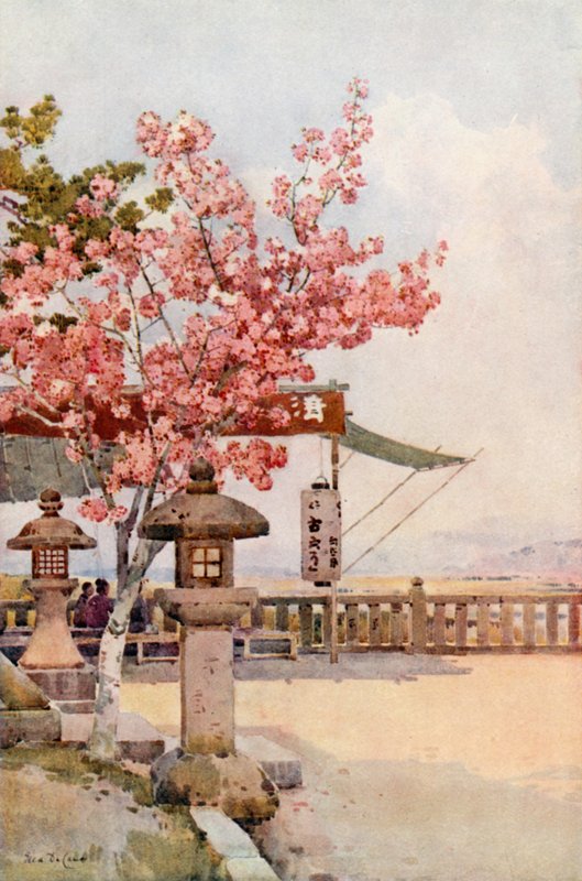The Pink Cherry (farge litho) av Ella Du Cane