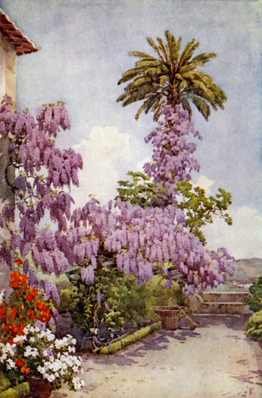 Wistaria, Quinta Da Levada (colour litho)   1412801   no       norwegian Successfully Translated  Original: Quilt Translat: Quilt 1223254 no norwegian Successfully Translated Original: Vier Stromen Fontein Innocentivs deci mvs p.m. natali domo pamphili (.. av Ella Du Cane