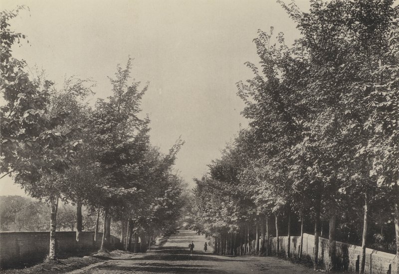 Aldeburgh, Westfields Avenue (s/hvitt bilde) av English Photographer