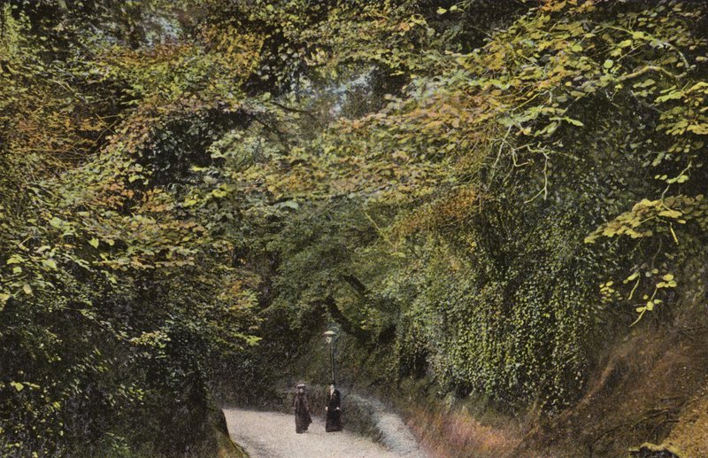 Chine Hollow, Shanklin av English Photographer