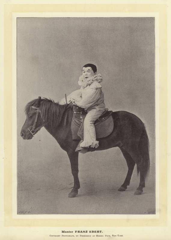 Mester Franz Ebert av English Photographer