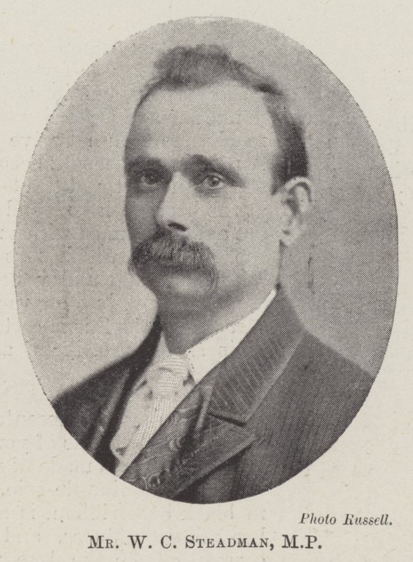 Mr W C Steadman, MP av English Photographer