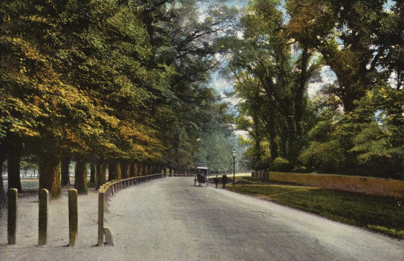Queens Road, the Backs av English Photographer