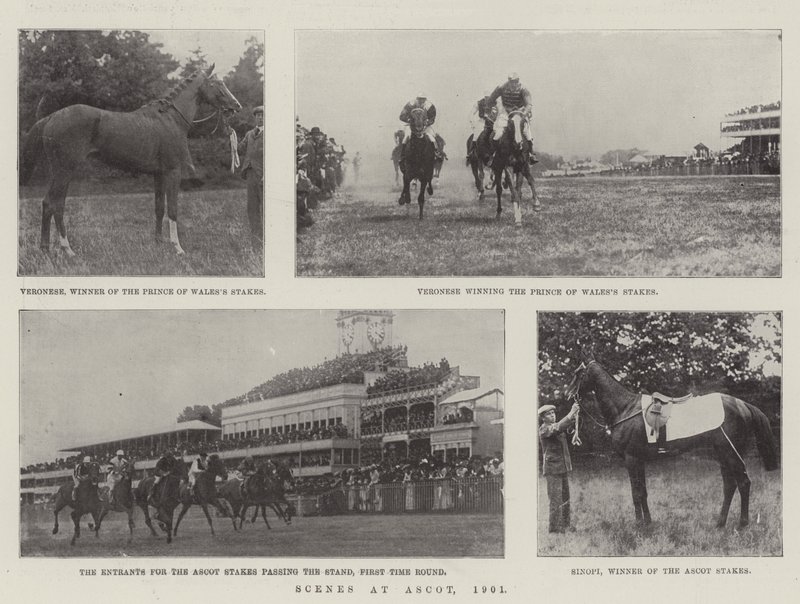 Scener ved Ascot, 1901 av English Photographer