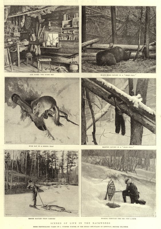 Scener of Life in the Backwoods av English Photographer