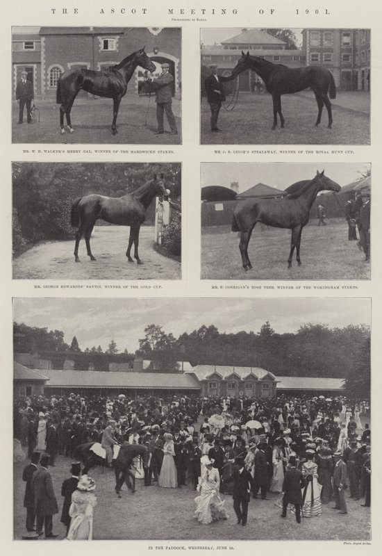 Ascot-møtet i 1901 av English Photographer