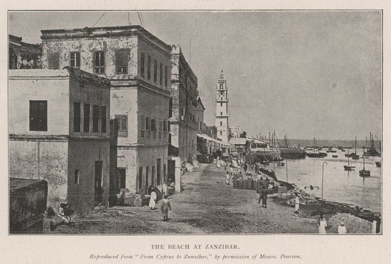 Stranden på Zanzibar av English Photographer