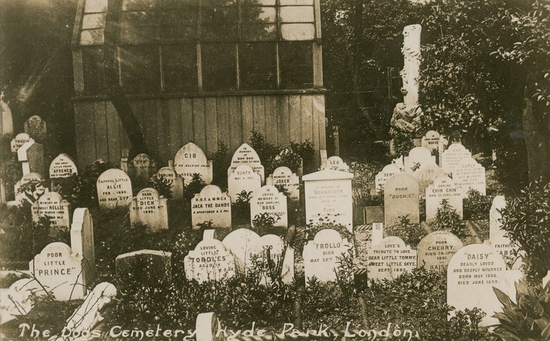The Dogs Cemetery, Hyde Park, London av English Photographer