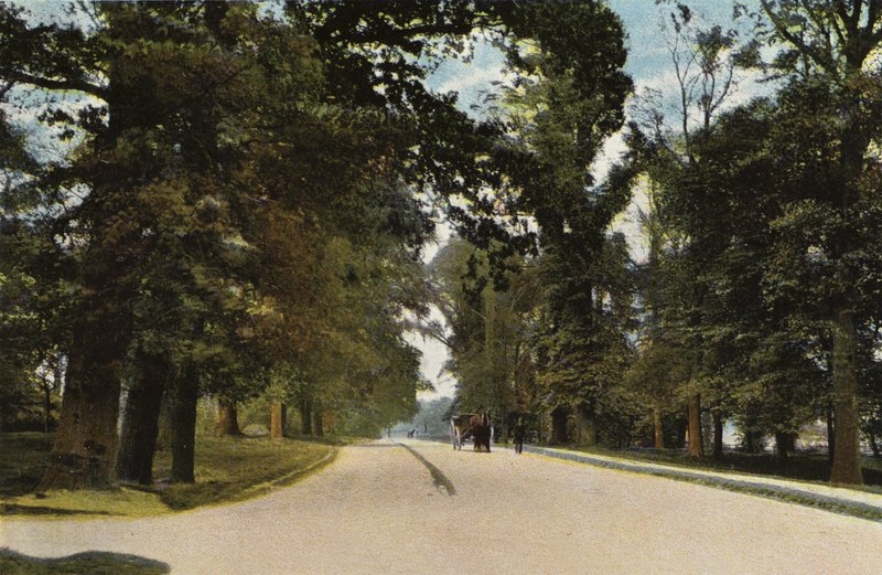 The Long Avenue, Coventry av English Photographer