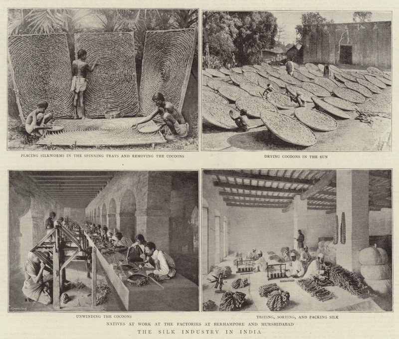 Silkeindustrien i India av English Photographer