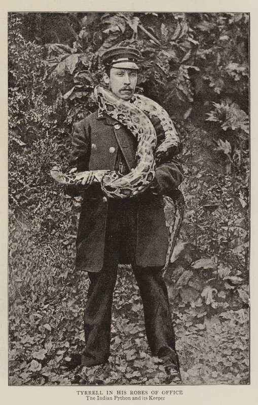 Tyrrell i sine Robes of Office av English Photographer