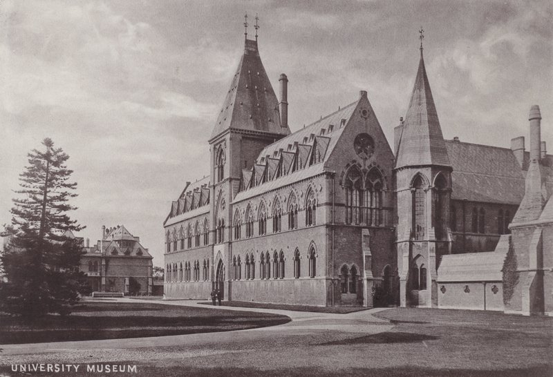 Universitetsmuseet av English Photographer