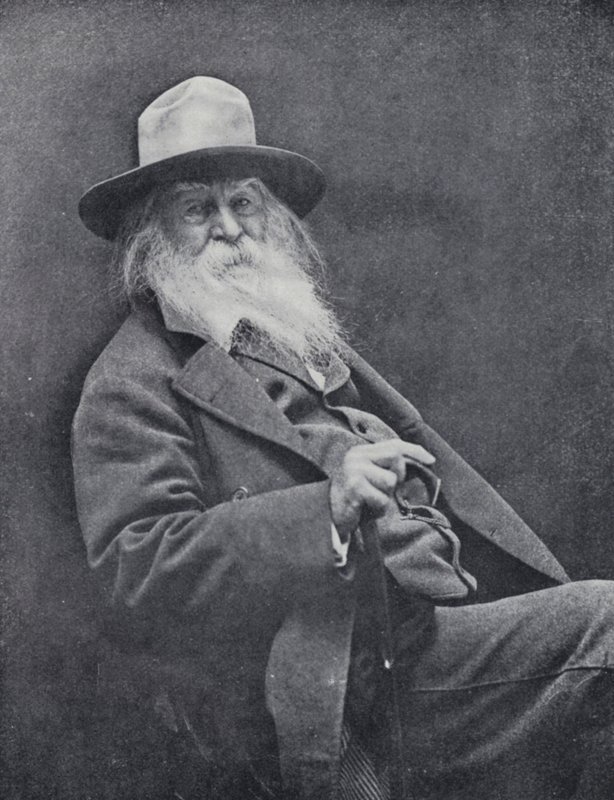 Walt Whitman (s/hvitt bilde) av English Photographer