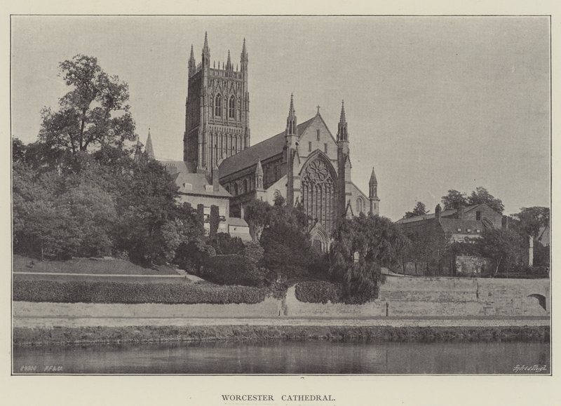 Worcester katedral av English Photographer