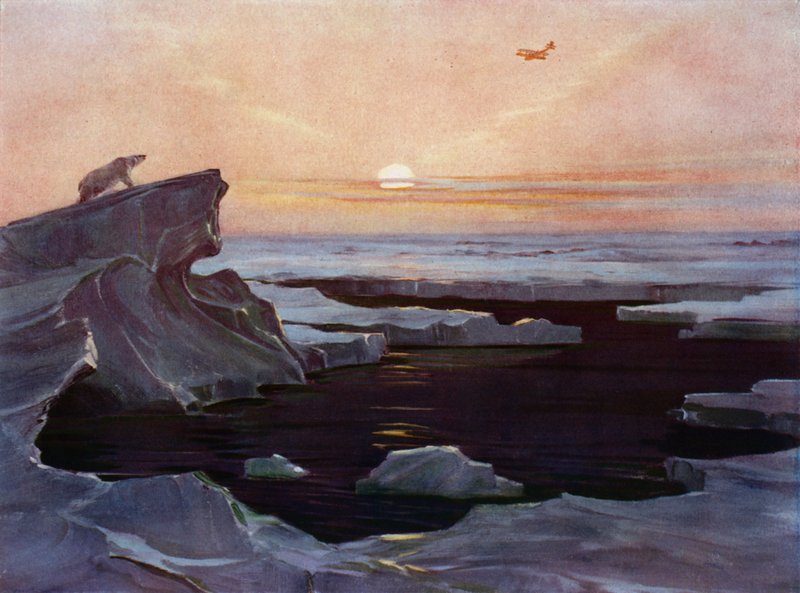 Fly som flyr over Arktis (farge litho) av English School