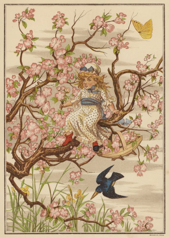 Epleblomst (farge litho) av English School