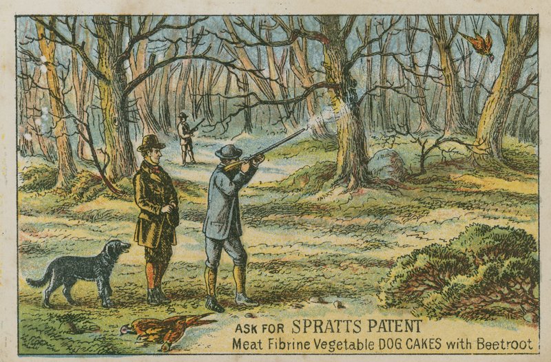 Be om Spratts patent av English School