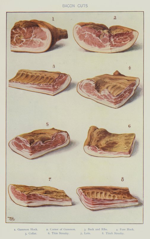 Baconsnitt (farge litho) av English School