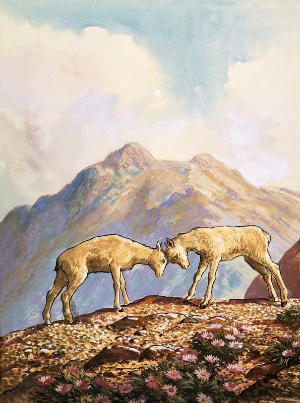 Barbary sauer av English School