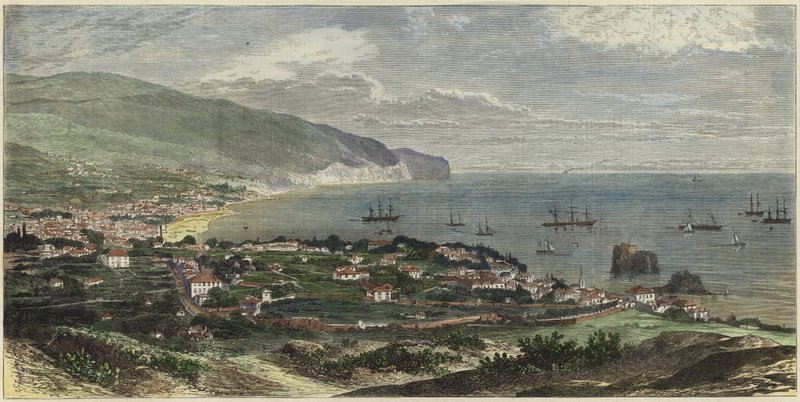 Bay og byen Funchal av English School