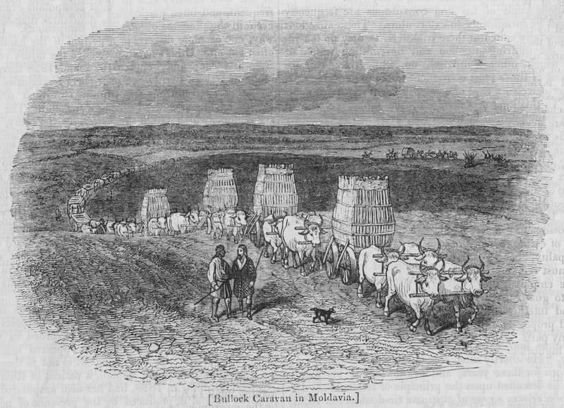 Bullock Caravan i Moldavia av English School