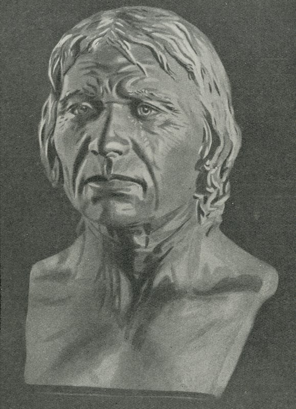 Byste av en Cro-Magnon-mann av English School
