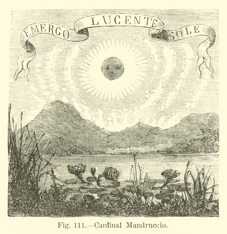 Kardinal Mandruccio av English School