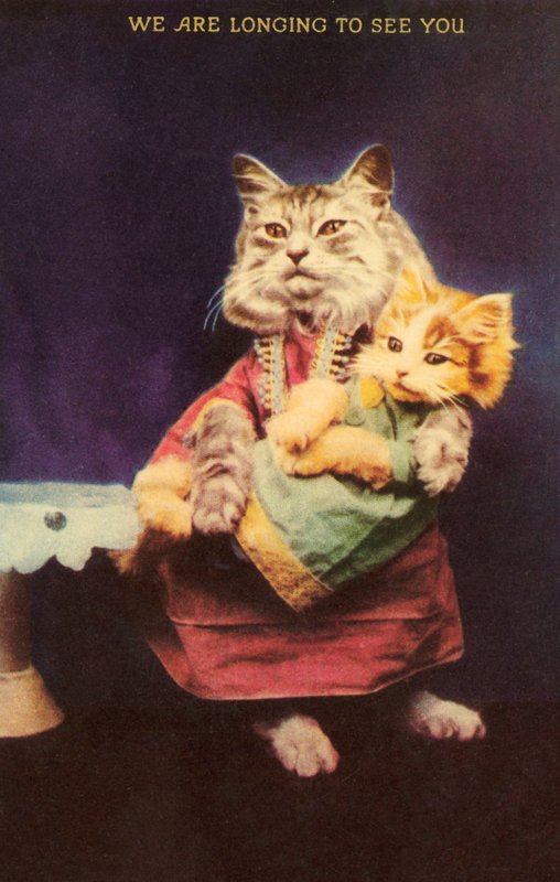 Katt og kattunge (farge litho) av English School