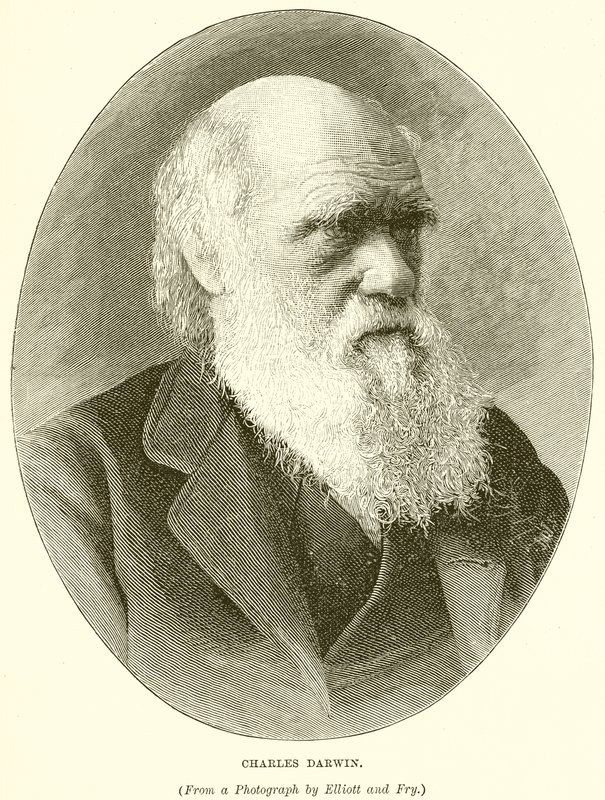 Charles Darwin av English School