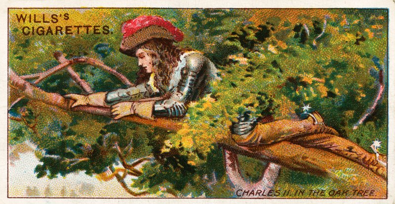 Charles II i eiketreet av English School