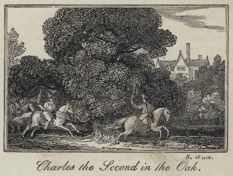 Charles den andre i eiken (gravering) av English School