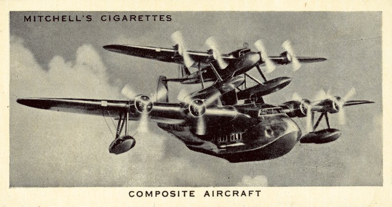 Sammensatt fly (litho) av English School