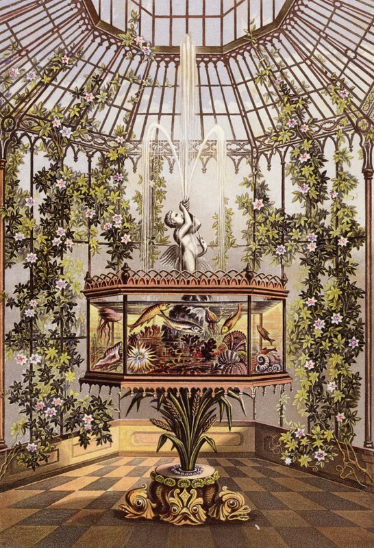 Vinterhage og akvarium av English School