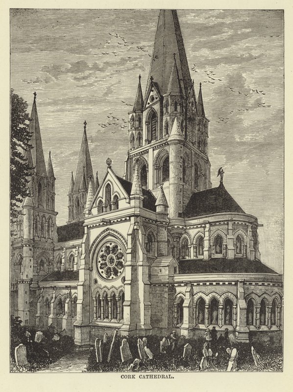 Cork katedral av English School