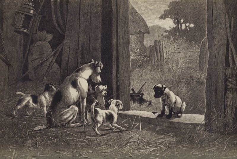 Hund (chromolitho) av English School