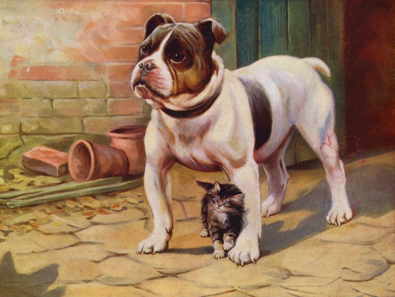 Hund og kattunge (farge litho) av English School