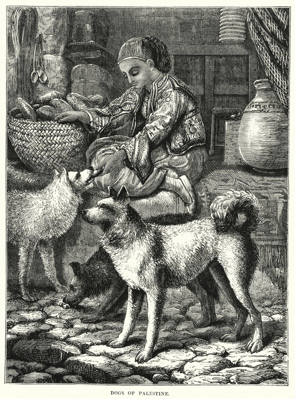 Dogs of Palestine (gravering) av English School