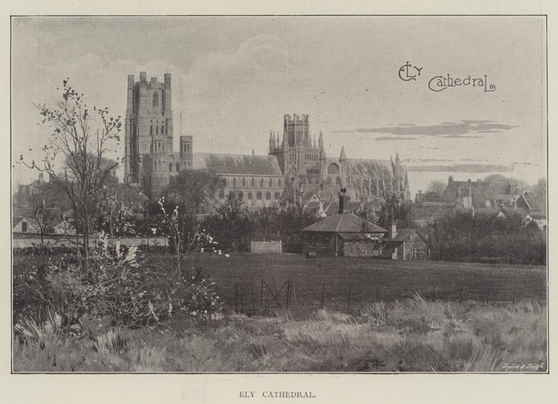 Ely katedral (litho) av English School