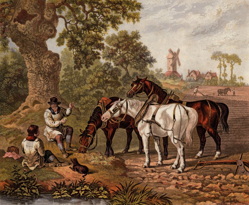 Engelske bønder som pløyer (farget gravering) av English School