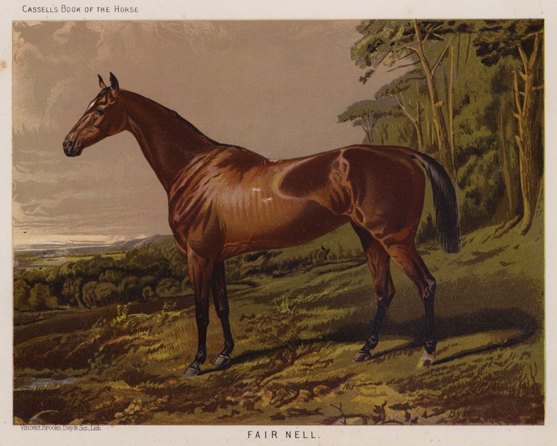 Fair Nell (farge litho) av English School