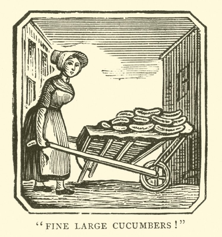 Fine store agurker (tresnitt) av English School