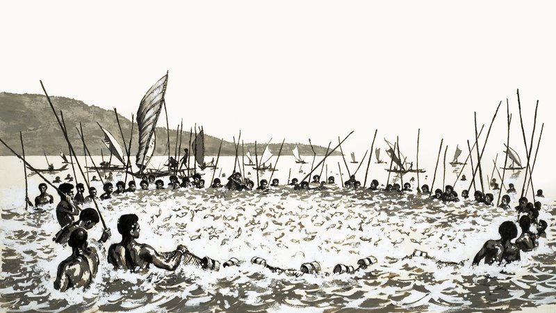 Fiskekjøring i Fiji av English School