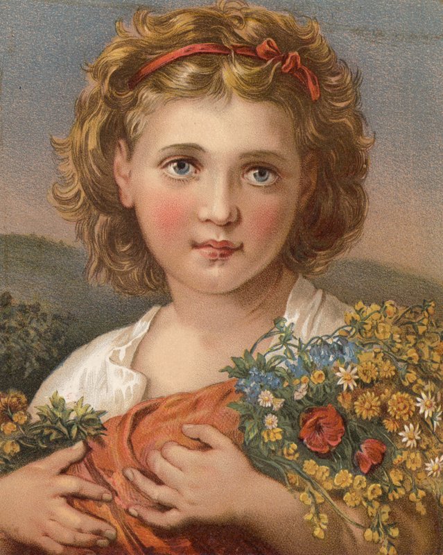 Flowers of the Field (farge litho) av English School