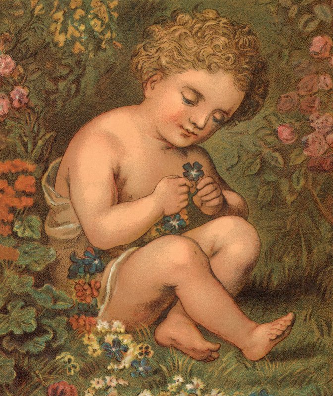 Hageblomster (farge litho) av English School