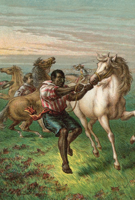 Garibaldis Troopers bryter Wild Horses av English School