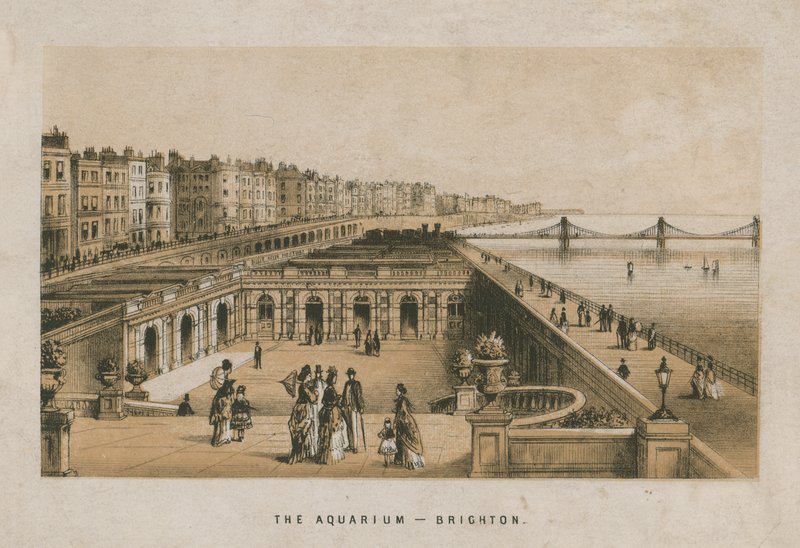 Generell utsikt over akvariet i Brighton av English School