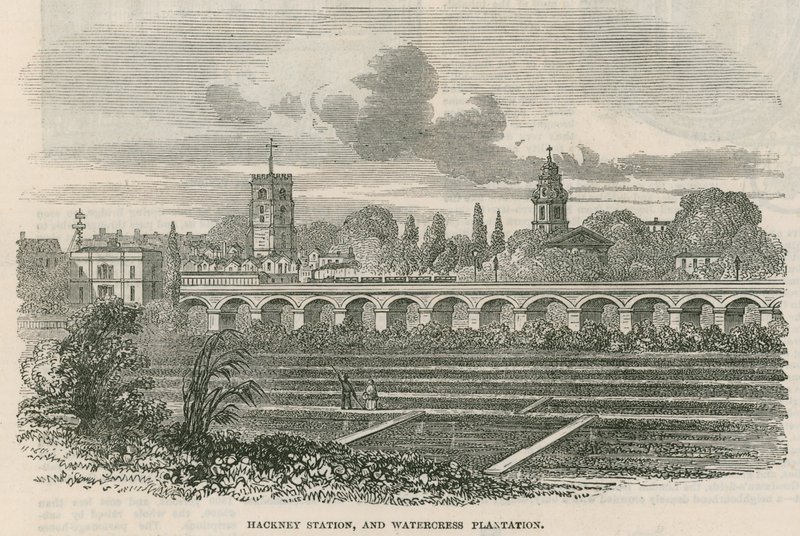Hackney Station og Watercress Plantation, London av English School