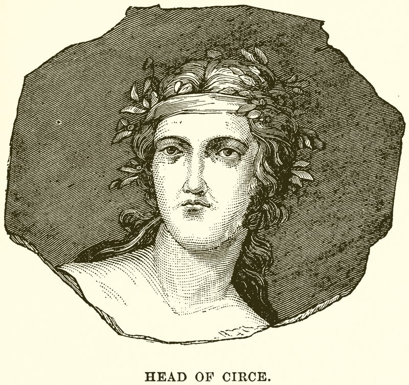 Leder for Circe av English School
